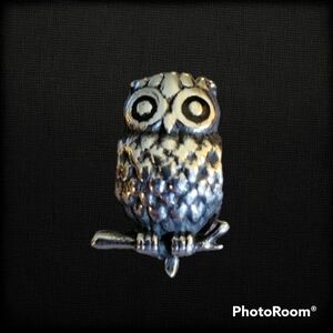 Jcm Stainless Steel Owl Slider Charm